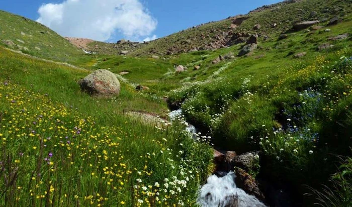 دشت گلستان یا دره الوارس در شهر سرعین اردبیل 15648647