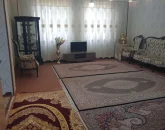 اتاق پذیرایی فرش شده به همراه مبلمان و کاغذ دیواری آپارتمان در اردبیل 458734968743