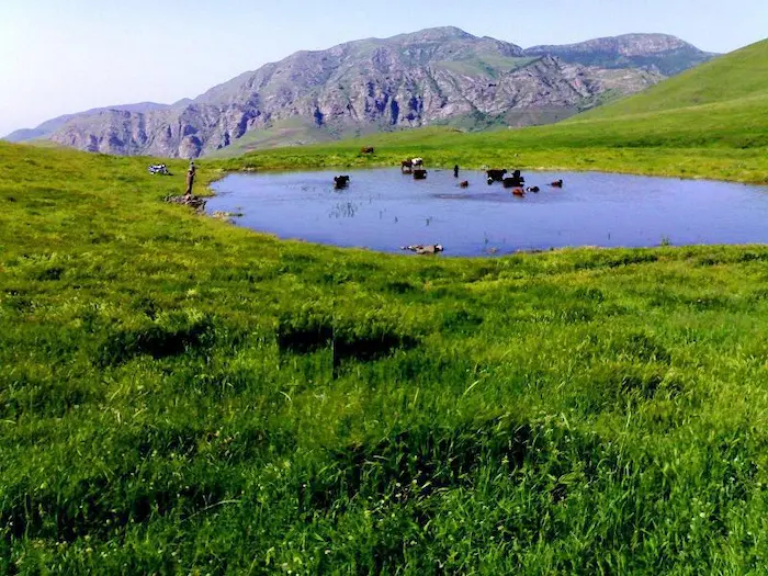 رودخانه در کنار چمنزارهای سرسبز روستای سردابه، یکی از روستاهای اردبیل 4986945764950