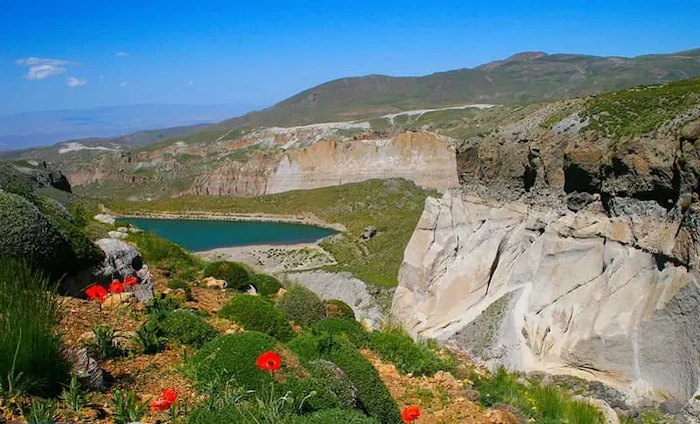 زیبایی دشت اطراف و گل های قرمز زیبا در شیروان دره سی اردبیل 186786741653