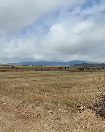 محوطه سبز زمین کشاورزی در سبلان